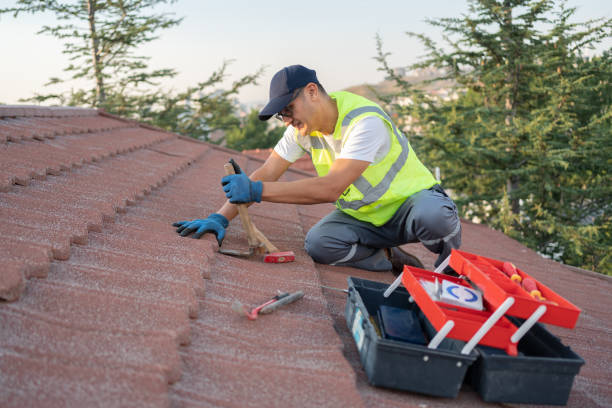 Roof Gutter Cleaning in Fairfield, CA
